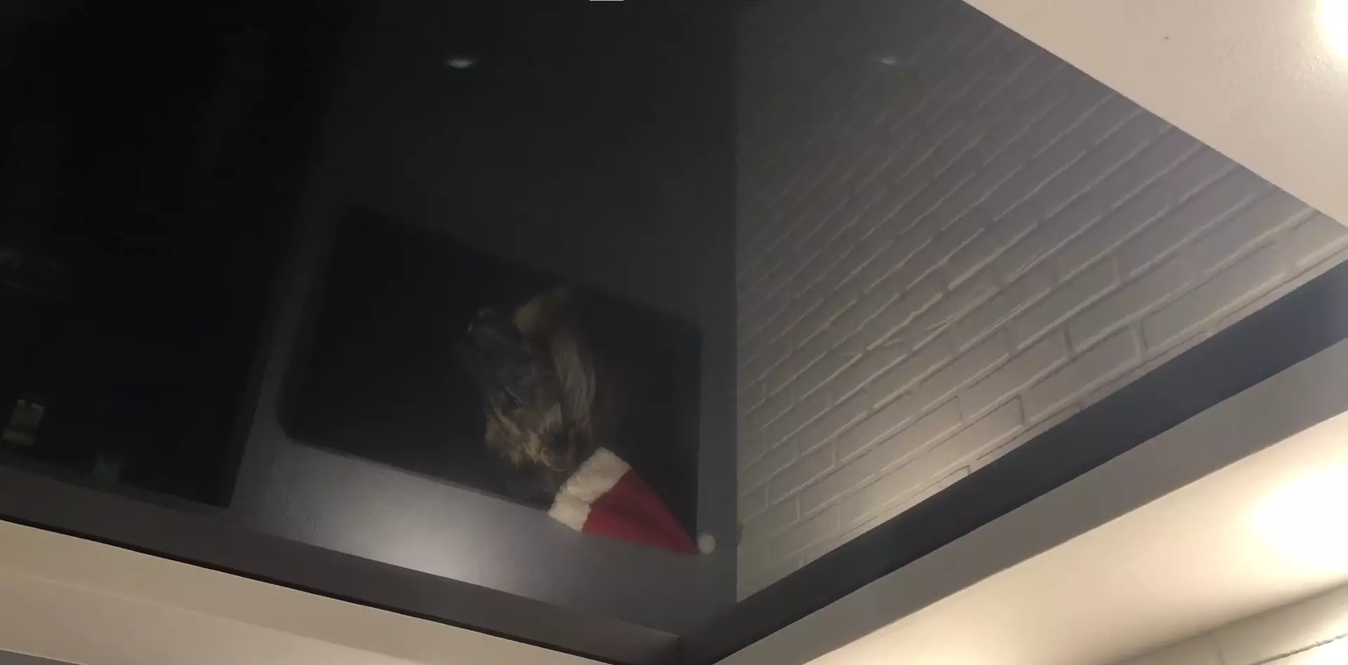 Курск, проспект Анатолия Дериглазова, 83, фото 3