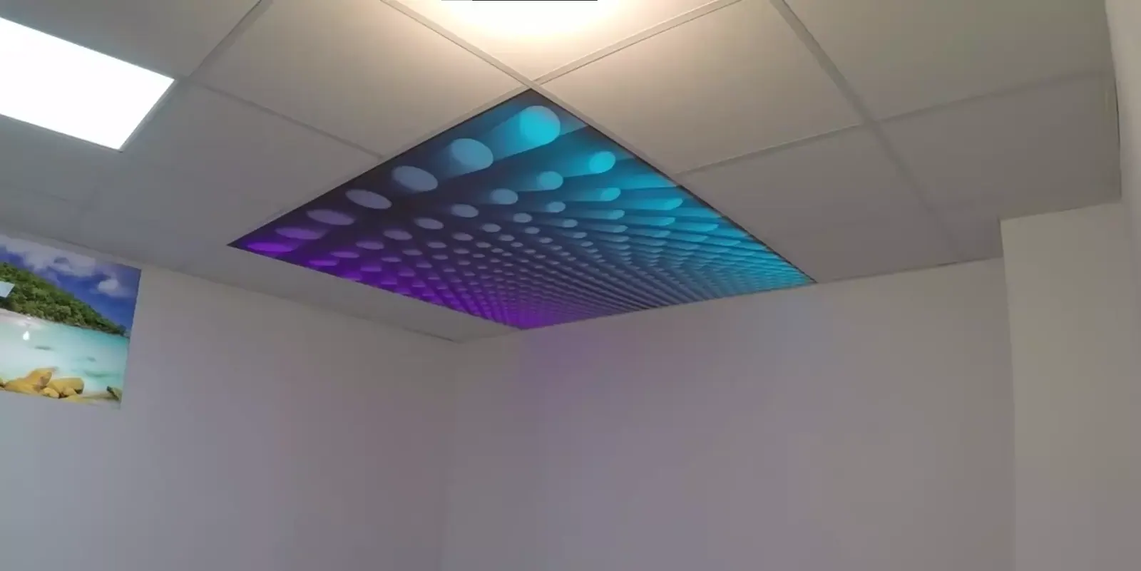 3D натяжной потолок для офиса — Омск, Поселковая 1-я, 11, фото 1